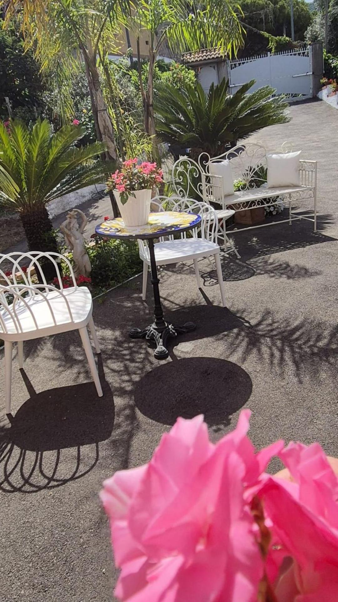 La Vigna Del Vento Bed & Breakfast Casola di Napoli Dış mekan fotoğraf