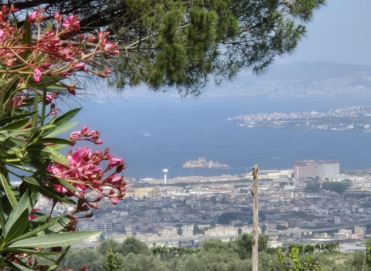 La Vigna Del Vento Bed & Breakfast Casola di Napoli Dış mekan fotoğraf
